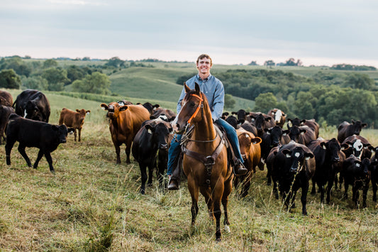 Aaron Schnelle tending cattle at Schnelle Farms.