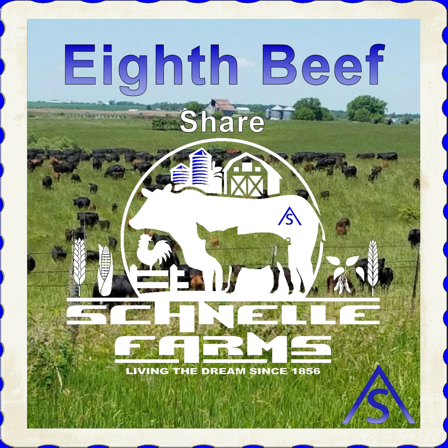 Schnelle Farms - Eighth Beef