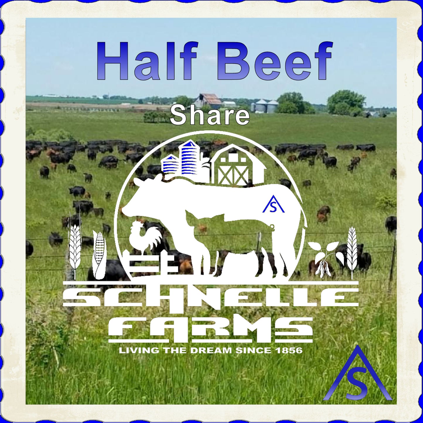 Schnelle Farms - Half Beef