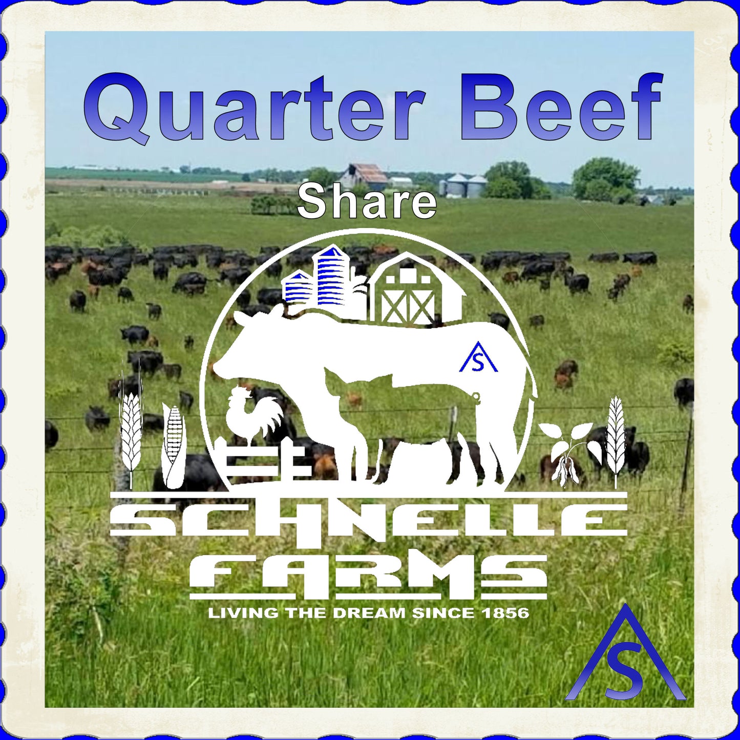 Schnelle Farms - Quarter Beef