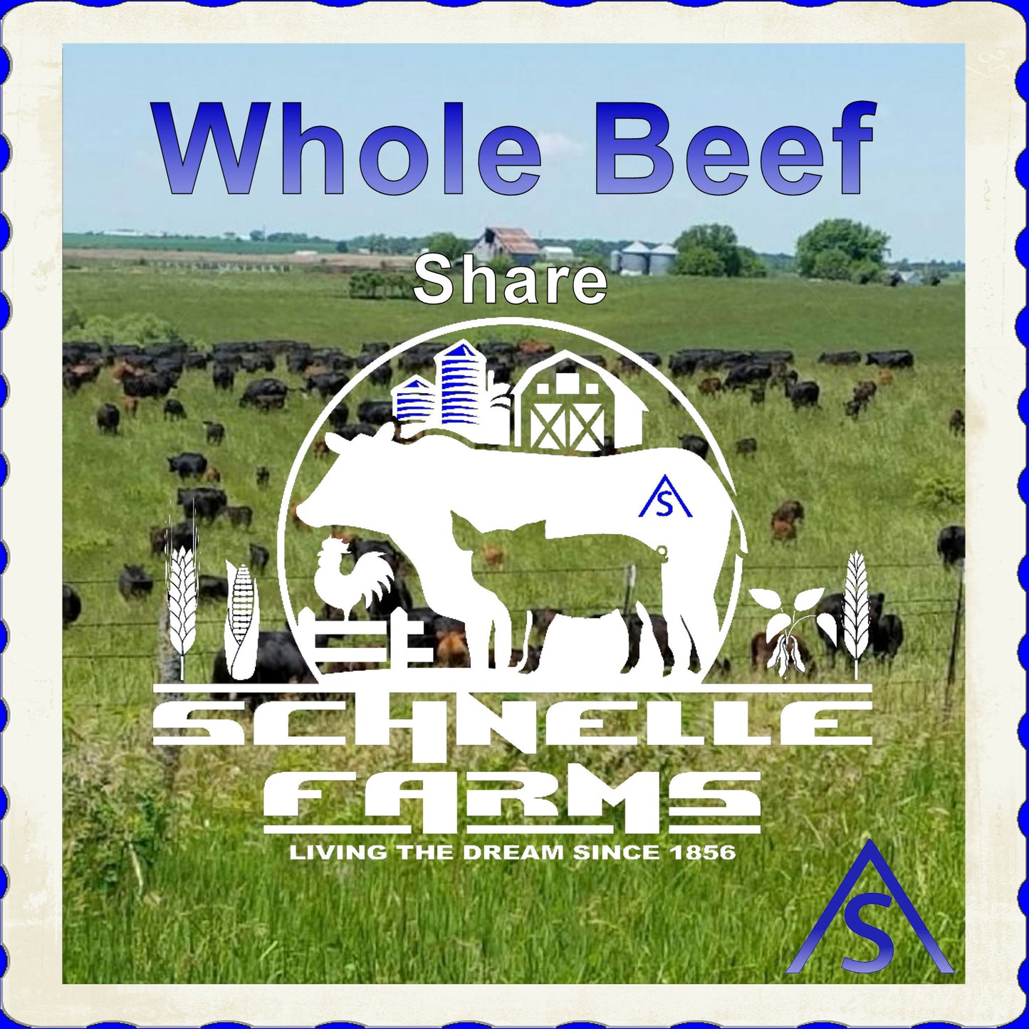 Schnelle Farms - Whole Beef